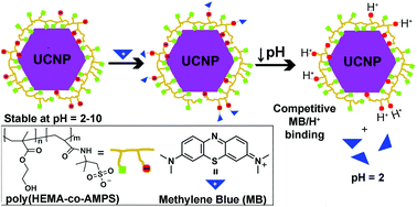 Graphical abstract: Upconversion nanoparticles with a strong acid-resistant capping