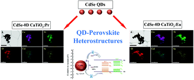 Graphical abstract: Probing charge transfer in a novel class of luminescent perovskite-based heterostructures composed of quantum dots bound to RE-activated CaTiO3 phosphors