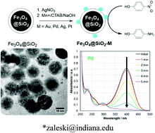 Graphical abstract: A simple route to diverse noble metal-decorated iron oxide nanoparticles for catalysis