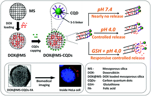 Graphical abstract: Bioresponsive carbon nano-gated multifunctional mesoporous silica for cancer theranostics
