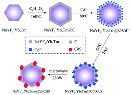 Graphical abstract: Depositing CdS nanoclusters on carbon-modified NaYF4:Yb,Tm upconversion nanocrystals for NIR-light enhanced photocatalysis