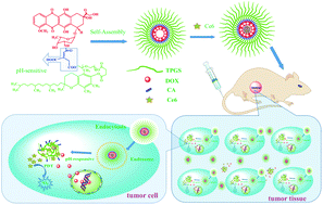 Graphical abstract: pH-Sensitive self-assembling nanoparticles for tumor near-infrared fluorescence imaging and chemo–photodynamic combination therapy