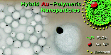 Graphical abstract: A simple approach to obtain hybrid Au-loaded polymeric nanoparticles with a tunable metal load