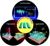 Graphical abstract: Nanopatterned polymer brushes: conformation, fabrication and applications