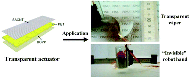 Graphical abstract: Transparent actuators and robots based on single-layer superaligned carbon nanotube sheet and polymer composites