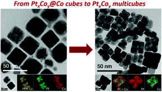 Graphical abstract: The shape evolution from PtxCoy@Co cubes to PtxCoy multicubes for selective hydrogenation of α,β-unsaturated aldehyde