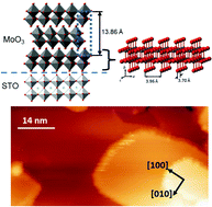 Graphical abstract: Iso-oriented monolayer α-MoO3(010) films epitaxially grown on SrTiO3(001)