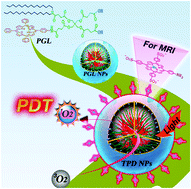 Graphical abstract: Porphyrin-loaded nanoparticles for cancer theranostics