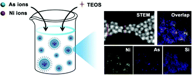 Graphical abstract: A facile route to core–shell nanoparticulate formation of arsenic trioxide for effective solid tumor treatment