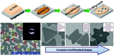Graphical abstract: Synthesis of aligned symmetrical multifaceted monolayer hexagonal boron nitride single crystals on resolidified copper