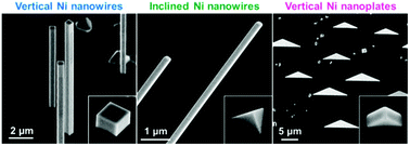 Graphical abstract: Stereo-epitaxial growth of single-crystal Ni nanowires and nanoplates from aligned seed crystals