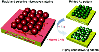 Graphical abstract: Sub-second carbon-nanotube-mediated microwave sintering for high-conductivity silver patterns on plastic substrates