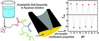 Graphical abstract: Noncovalent functionalization of solid-state nanopores via self-assembly of amphipols