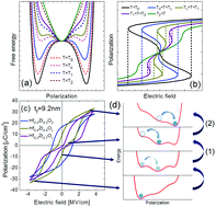 Graphical abstract: Two-step polarization switching mediated by a nonpolar intermediate phase in Hf0.4Zr0.6O2 thin films