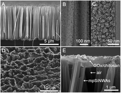 Graphical abstract: A high performance three-phase enzyme electrode based on superhydrophobic mesoporous silicon nanowire arrays for glucose detection