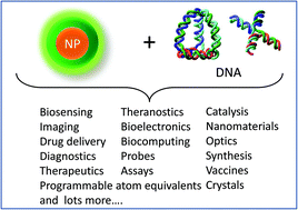 Graphical abstract: Nanoparticles and DNA – a powerful and growing functional combination in bionanotechnology