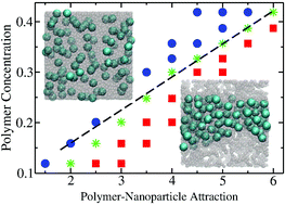 Graphical abstract: A theoretical study of dispersion-to-aggregation of nanoparticles in adsorbing polymers using molecular dynamics simulations