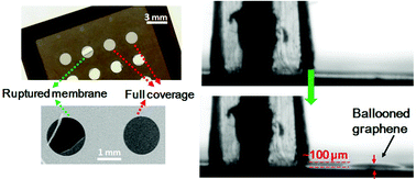 Graphical abstract: Ultra-large suspended graphene as a highly elastic membrane for capacitive pressure sensors