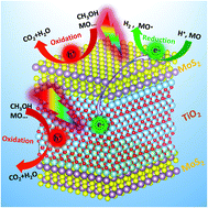 Graphical abstract: Few-layered MoS2 nanosheets wrapped ultrafine TiO2 nanobelts with enhanced photocatalytic property