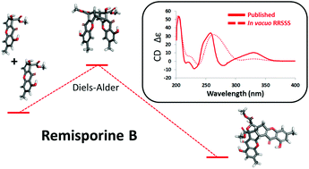 Graphical abstract: Absolute configuration of remisporines A & B