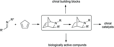 Graphical abstract: 2-Azanorbornane – a versatile chiral aza-Diels–Alder cycloadduct: preparation, applications in stereoselective synthesis and biological activity