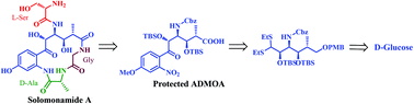 Graphical abstract: Scalable synthesis of the unusual amino acid segment (ADMOA unit) of marine anti-inflammatory peptide: solomonamide A