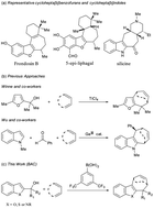 Graphical abstract: Mild arylboronic acid catalyzed selective [4 + 3] cycloadditions: access to cyclohepta[b]benzofurans and cyclohepta[b]indoles