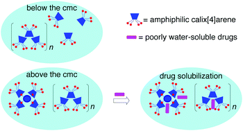 Graphical abstract: Self-assembly of amphiphilic anionic calix[4]arenes and encapsulation of poorly soluble naproxen and flurbiprofen