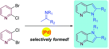 Graphical abstract: Facile synthesis of 4- and 7-azaindoles from the corresponding imines by palladium-catalyzed cascade C–C and C–N coupling