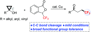 Graphical abstract: Copper-catalysed ring-opening trifluoromethylation of cyclopropanols