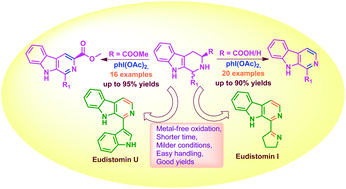 Graphical abstract: PhI(OAc)2-mediated one-pot oxidative decarboxylation and aromatization of tetrahydro-β-carbolines: synthesis of norharmane, harmane, eudistomin U and eudistomin I