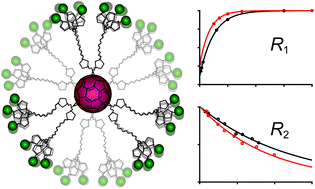 Graphical abstract: Investigation of glycofullerene dynamics by NMR spectroscopy