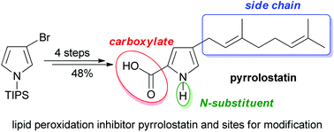 Graphical abstract: Short and highly efficient synthesis of lipid peroxidation inhibitor pyrrolostatin and some analogues thereof
