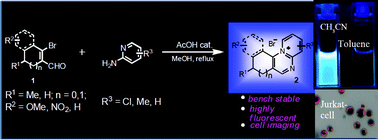 Graphical abstract: Pyrido[1,2-a]pyrimidinium ions – a novel bridgehead nitrogen heterocycles: synthesis, characterisation, and elucidation of DNA binding and cell imaging properties