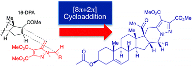 Graphical abstract: Synthesis of chiral hexacyclic steroids via [8π + 2π] cycloaddition of diazafulvenium methides