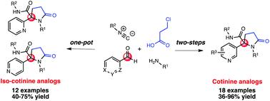 Graphical abstract: An efficient microwave-assisted synthesis of cotinine and iso-cotinine analogs from an Ugi-4CR approach