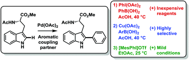 Graphical abstract: Unified mild reaction conditions for C2-selective Pd-catalysed tryptophan arylation, including tryptophan-containing peptides