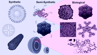 Graphical abstract: Synthetic multivalency for biological applications