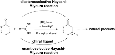 Graphical abstract: Strategy of total synthesis based on the use of Rh-catalyzed stereoselective 1,4-addition