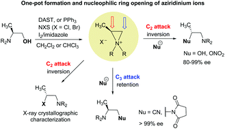 Graphical abstract: Synthetic and theoretical investigation on the one-pot halogenation of β-amino alcohols and nucleophilic ring opening of aziridinium ions