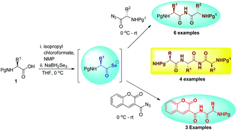 Graphical abstract: A facile one pot route for the synthesis of imide tethered peptidomimetics