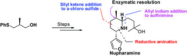 Graphical abstract: Stereoselective total synthesis of (−)-nupharamine utilizing an α-chlorosulfide and a sulfinimine for C–C bond formation