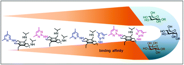 Graphical abstract: Improved binding affinity and interesting selectivities of aminopyrimidine-bearing carbohydrate receptors in comparison with their aminopyridine analogues