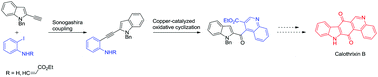 Graphical abstract: Total synthesis of calothrixin B via sequential Sonogashira coupling/copper-catalyzed oxidative cyclization