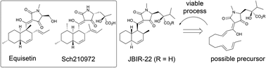 Graphical abstract: Synthetic studies on the bioactive tetramic acid JBIR-22 using a late stage Diels–Alder reaction