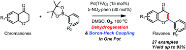 Graphical abstract: A versatile approach to flavones via a one-pot Pd(ii)-catalyzed dehydrogenation/oxidative boron-Heck coupling sequence of chromanones