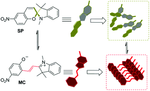 Graphical abstract: Multi-responsive supramolecular hydrogels based on merocyanine–peptide conjugates