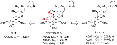 Graphical abstract: Design and synthesis of simple, yet potent and selective non-ring-A pyripyropene A-based inhibitors of acyl-coenzyme A: cholesterol acyltransferase 2 (ACAT2)
