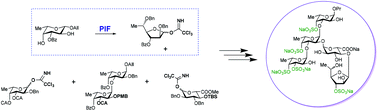 Graphical abstract: The synthesis of heterosaccharides related to the fucoidan from Chordaria flagelliformis bearing an α-l-fucofuranosyl unit