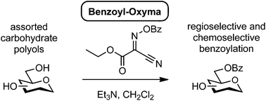 Graphical abstract: Investigation of benzoyloximes as benzoylating reagents: benzoyl-Oxyma as a selective benzoylating reagent